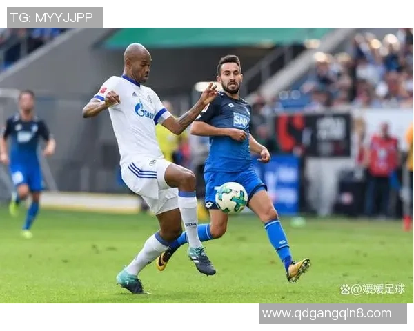 德天空:多特蒙德重视沙尔克中场法乌齐,其合同中无解约条款 德天空:多特蒙德重视沙尔克中场法乌齐,其合同中无解约条款